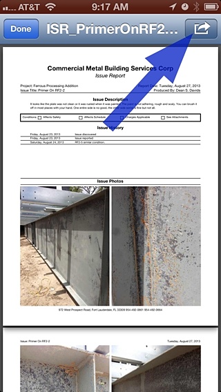 Issue Detail Report Screenshot