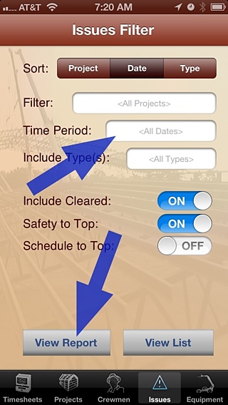 Issues Filter View