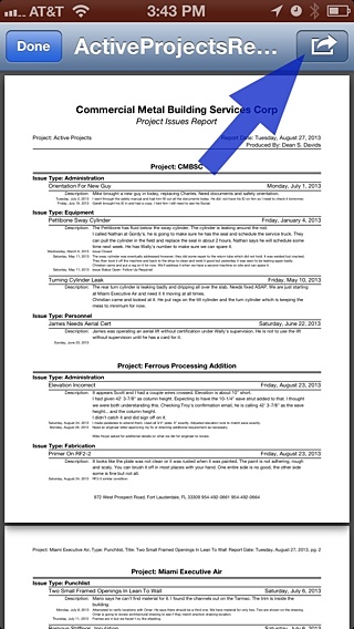 Issues Report Preview